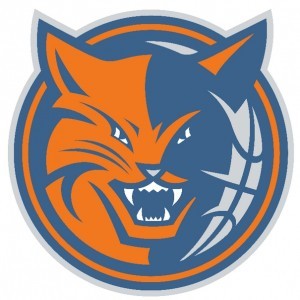 charlotte-bobcats-logo