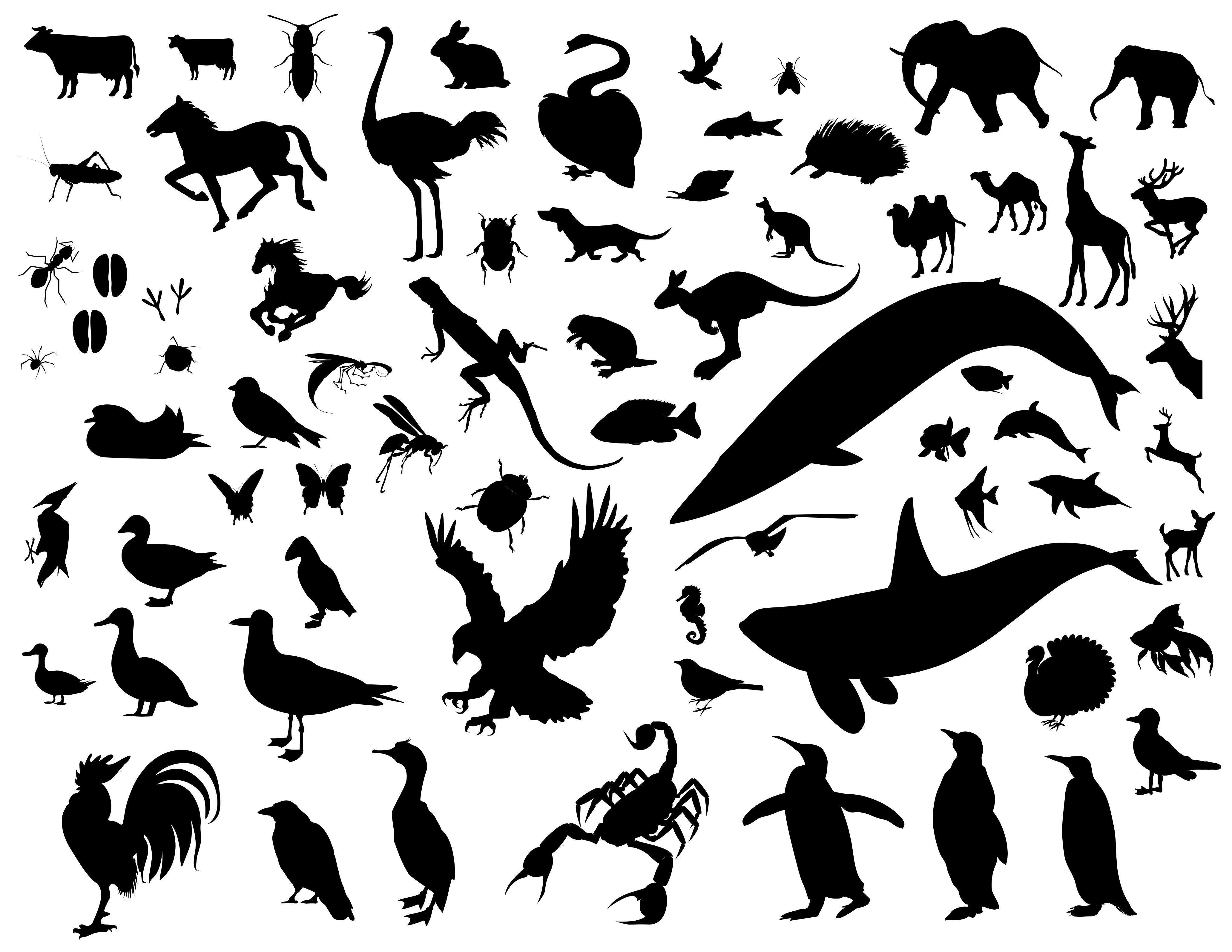 Free Animal Logo