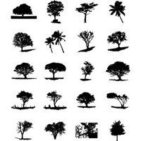 Trees Silhouette 02