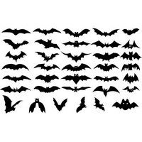 Bat silhouette