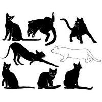 Cats silhouette