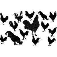 Cock silhouette