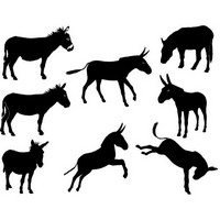 Donkey silhouette