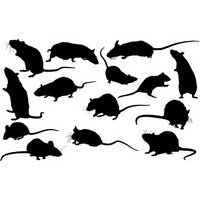 Mouse silhouette