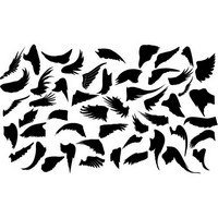 Wings silhouette