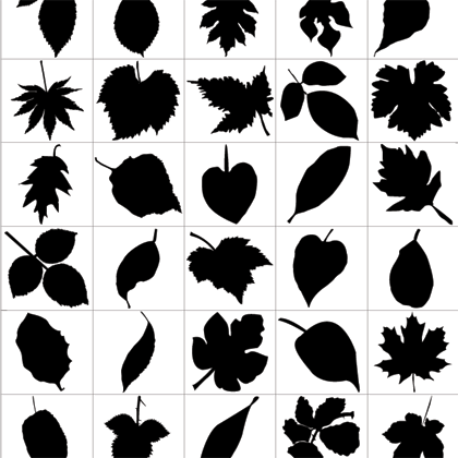 Leaf Silhouette free png download
