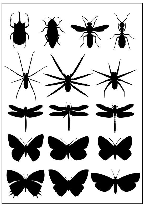 Insects Set [Silhouette] free png download