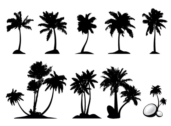 Palm Tree Set free png download