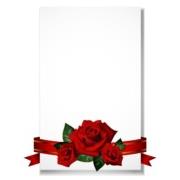 Rose, Romantic, Wedding, Frame, Background, Card, Flower