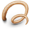 Harry Potter Icons 128x128 [PNG Files] free png download