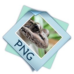 RumaxIP Icons 256x256 [PNG Files] free png download