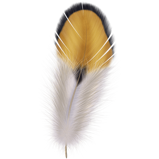 Beautiful Feathers 512x512 [PNG Files] free png download