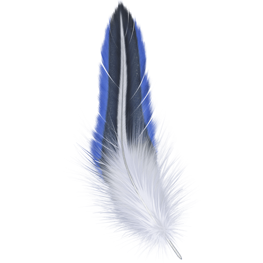 Beautiful Feathers 512x512 [PNG Files] free png download