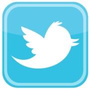 Twitter Bird Icon