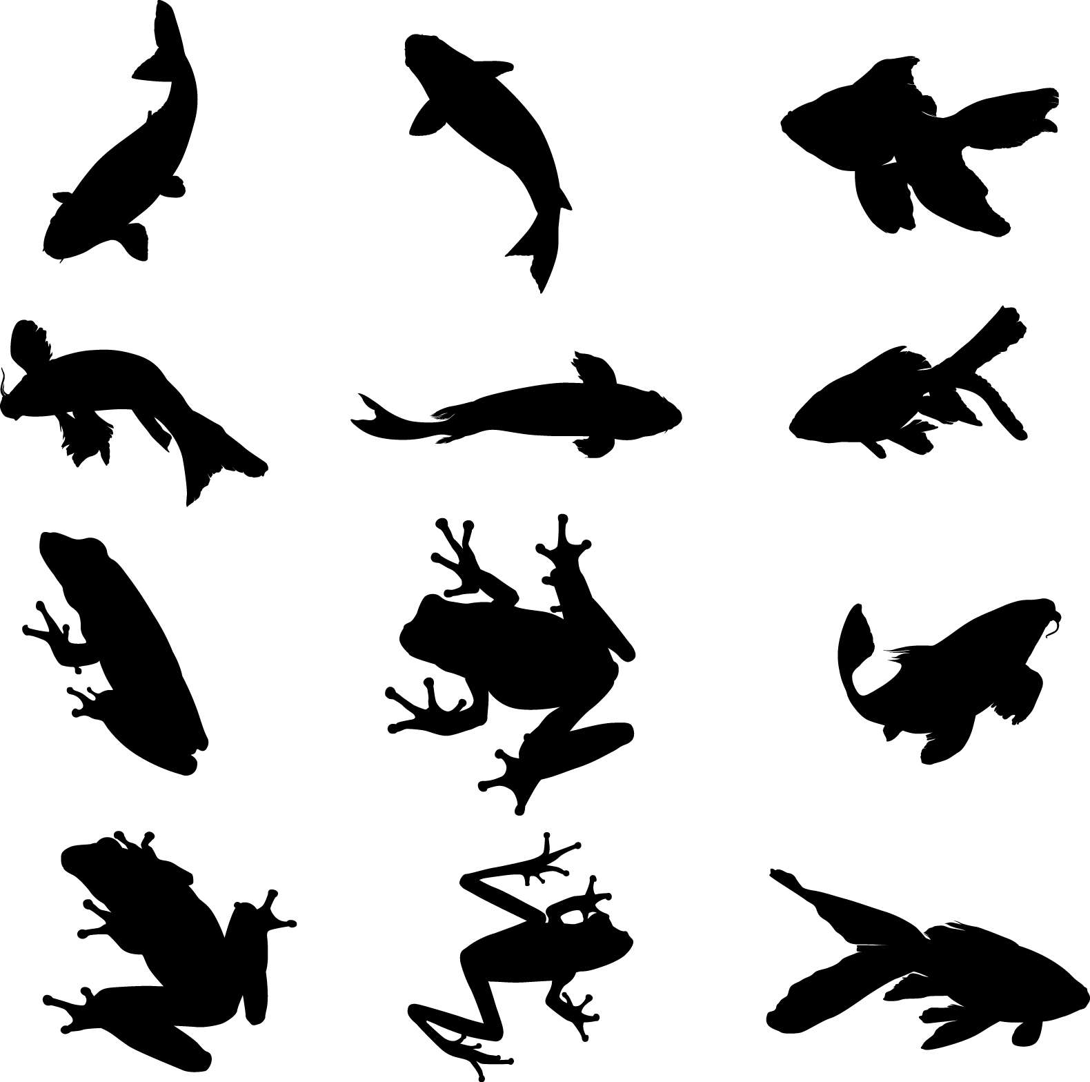 Aquatic Organisms Silhouettes free png download