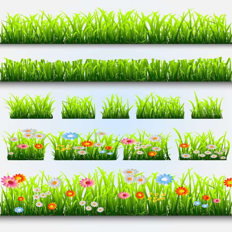 Grass, Flower free png download