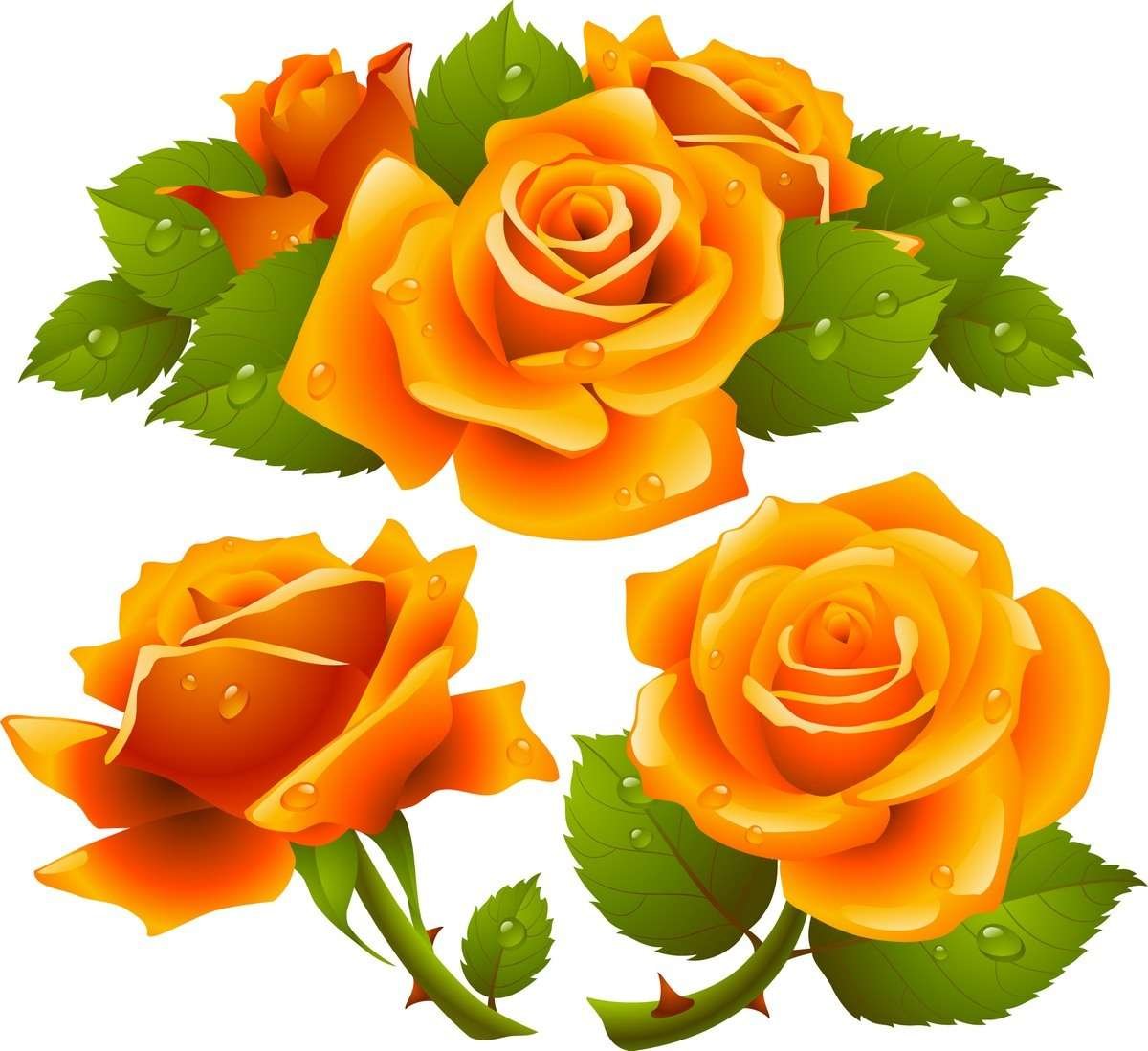 Rose 06 free png download