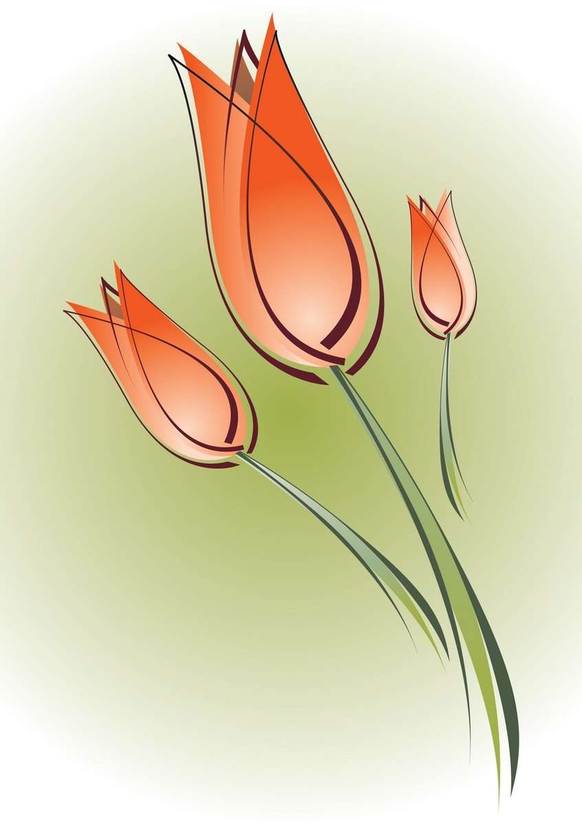Flower, Tulip free png download