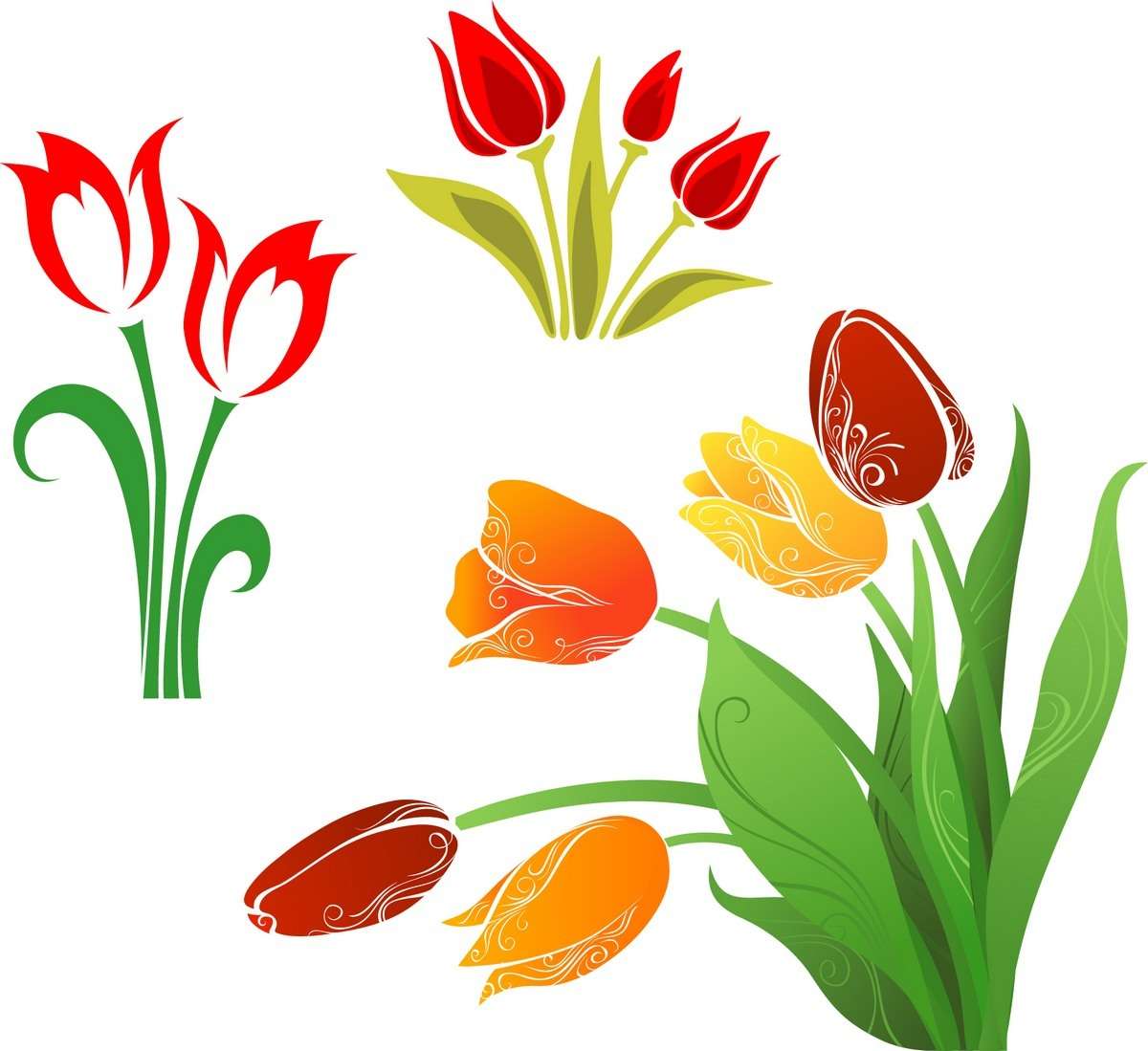 Flower, Tulip 01 free png download
