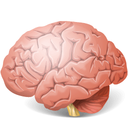 Medical Icon Set [PNG   256x256] free png download