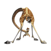 Madagascar Icons [PNG   1280x1024] free png download