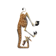 Madagascar Icons [PNG   1280x1024] free png download