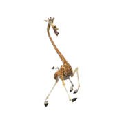 Madagascar Icons [PNG   1280x1024] free png download