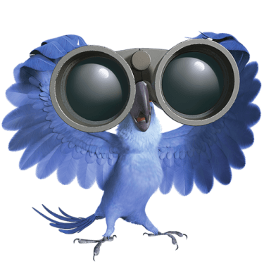 Rio 2 Movie Character Icons [PNG   512x512] free png download
