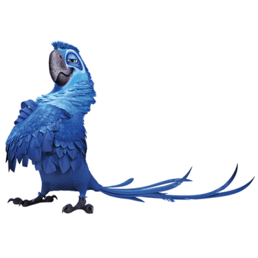 Rio 2 Movie Character Icons [PNG   512x512] free png download