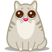 Cat Icon Set [PNG   256x256] free png download