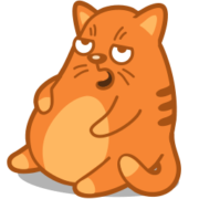 Cat Icon Set [PNG   256x256] free png download