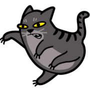 Cat Icon Set [PNG   256x256] free png download