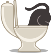 Cat Icon Set [PNG   256x256] free png download