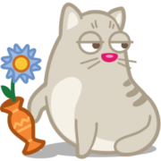 Cat Icon Set [PNG   256x256] free png download