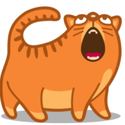 Cat Icon Set [PNG   256x256] free png download