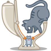 Cat Icon Set [PNG   256x256] free png download