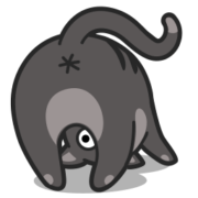 Cat Icon Set [PNG   256x256] free png download