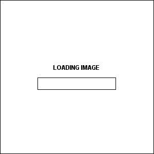 Loading Animated Gif free png download