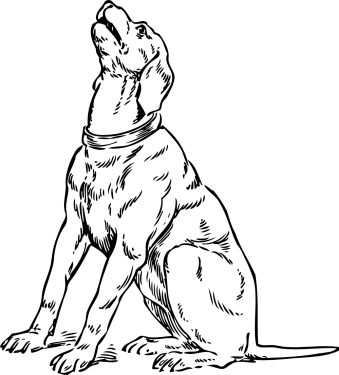 Dog Png Clipart (30 Image) png