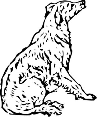 Dog Png Clipart (30 Image) free png download