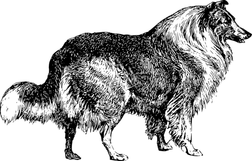 Dog Png Clipart (30 Image) free png download