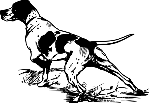 Dog Png Clipart (30 Image) free png download