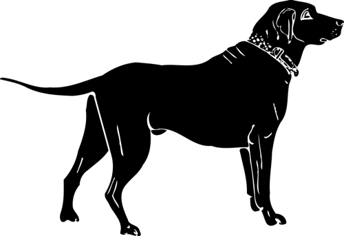 Dog Png Clipart (30 Image) free png download