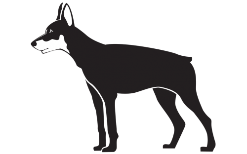 Dog Png Clipart (30 Image) free png download