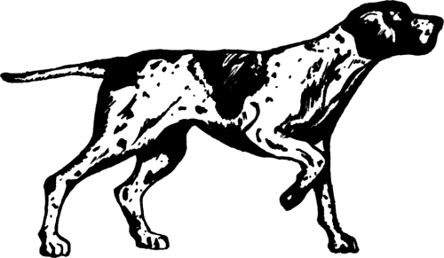 Dog Png Clipart (30 Image) free png download