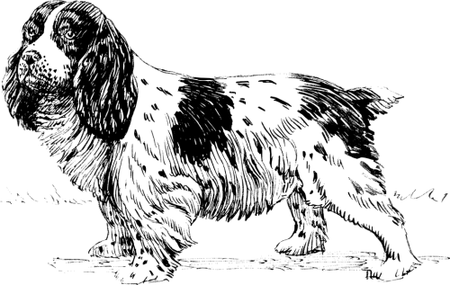 Dog Png Clipart (30 Image) free png download