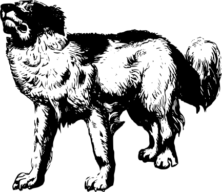 Dog Png Clipart (30 Image) free png download