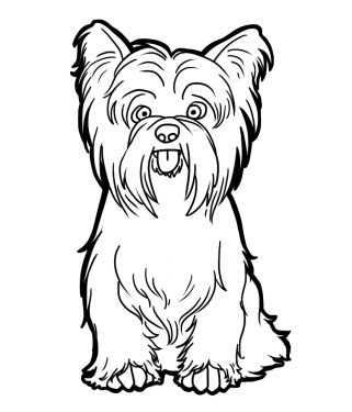 Dog Png Clipart (30 Image) free png download