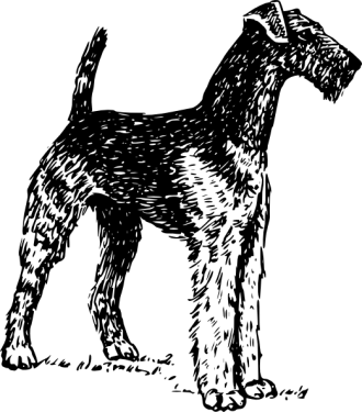 Dog Png Clipart (30 Image) free png download