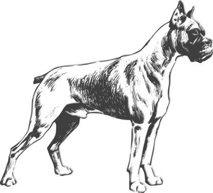 Dog Png Clipart (30 Image) png